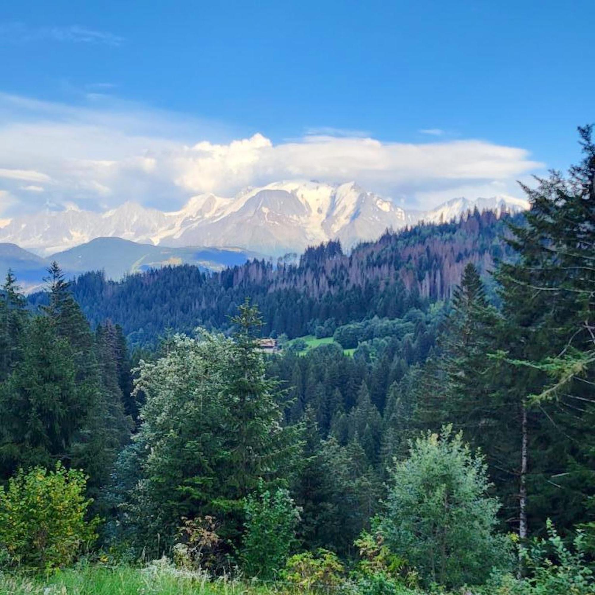 Studio Accueillant A Cordon Vue Mont Blanc 22 M² Parking Inclus Luaran gambar